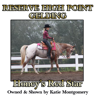 Reserve High Point Gelding & Gymkhana Horse