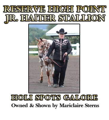 Junior Stallion Reserve Champion